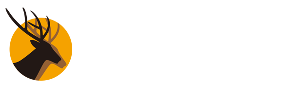 球友直播